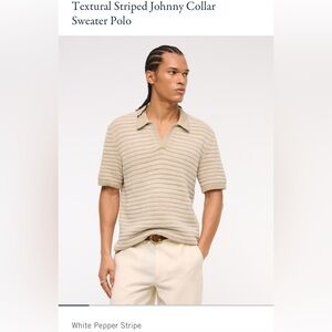 Abercrombie Men’s Textural Striped Johnny Collar Sweater Polo